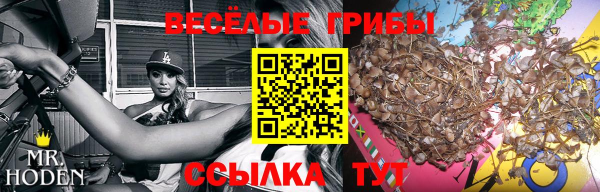 Псилоцибиновые грибы ЛСД Ставрополь