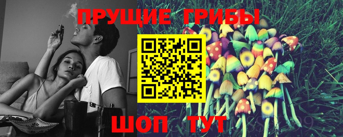 Псилоцибиновые грибы Psilocybe  Галлюциногенные грибы MAGIC MUSHROOMS  Ставрополь  Вход с VPN 